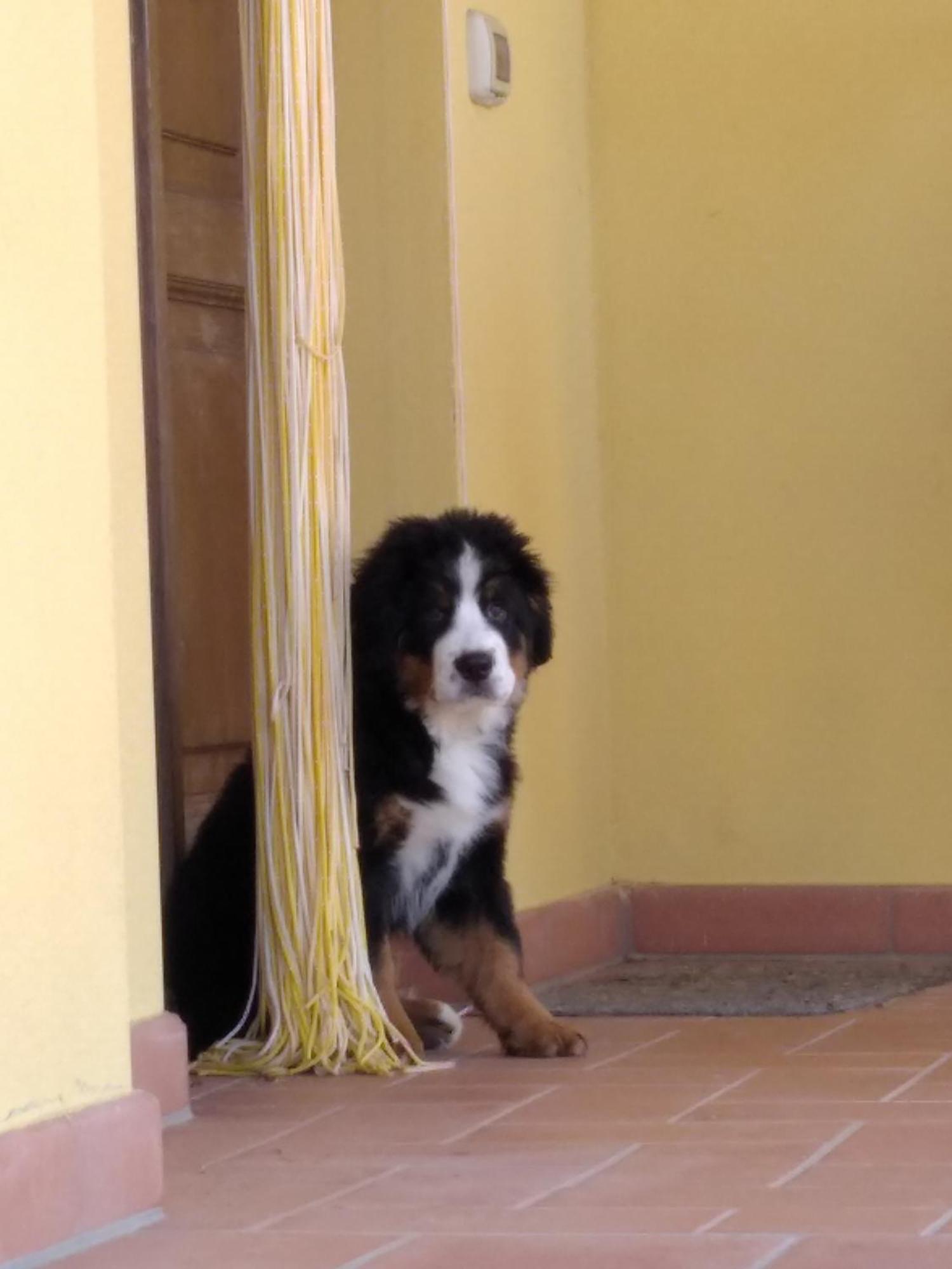 La Casa Di Cleo Βίλα Castiglione del Lago Εξωτερικό φωτογραφία